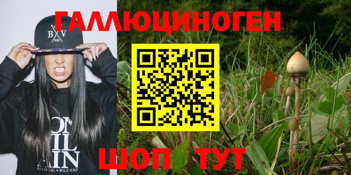 Галлюциногенные грибы ЛСД Асбест